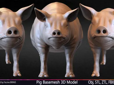Pig Basemesh 3D Model Low-poly 3D model
