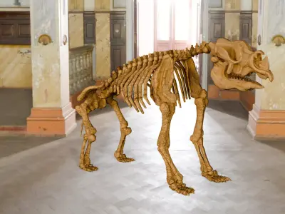 Relistic Mammals Fossil - Diprotodon Low-poly 3D model