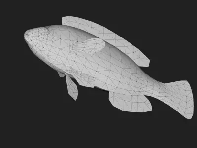 Wrasse Low-poly 3D model