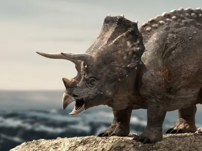 Triceratops Rigged 3D model Low-poly 3D model