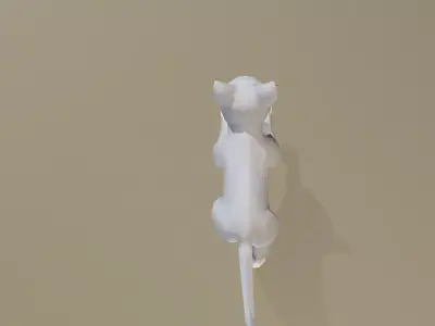 GRAY CAT RUN Cycle 3D model