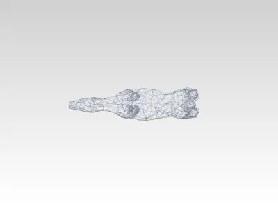 Camel Wireframe 3D model