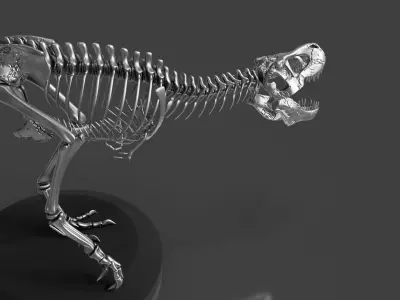 Silver T-Rex Skeleton - Prehistoric Dinosaur Fossil 3D model