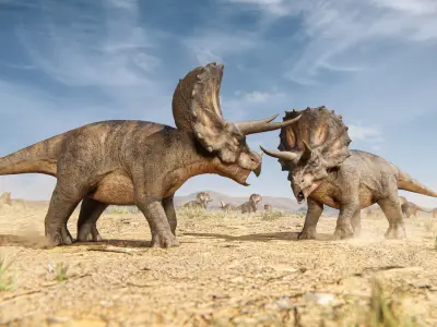 Triceratops dinosaur Low-poly 3D model