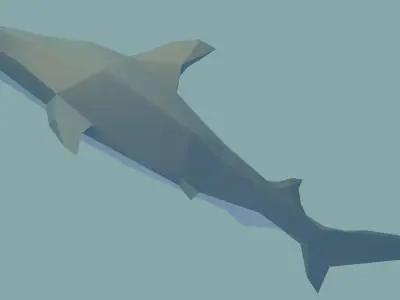 Hammerhead Shark Free low-poly 3D model