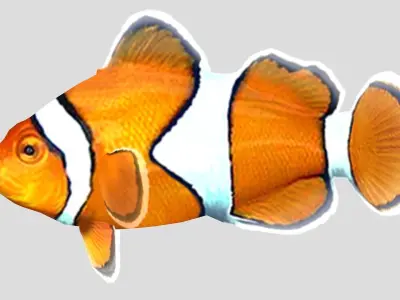 Clownfish Tropical Fish Low-poly 3D model