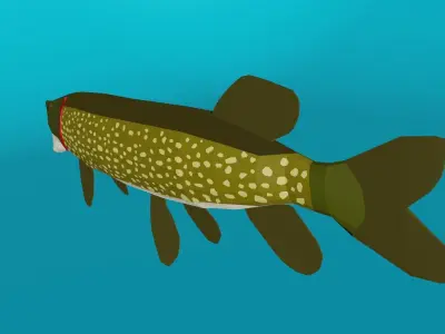 Pike Predator Low-poly 3D model