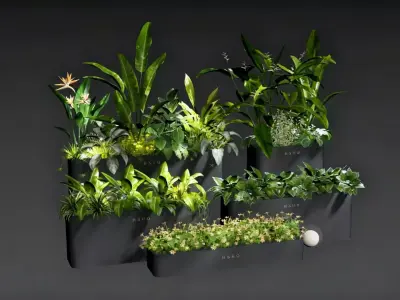 Home Green Plant Matching 3D model