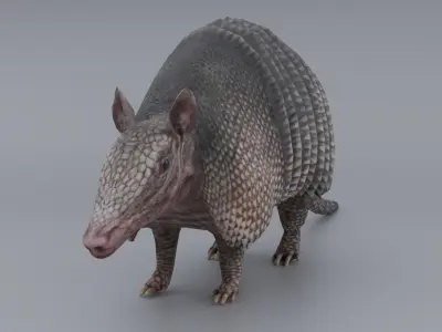 Armadillo Low-poly 3D model