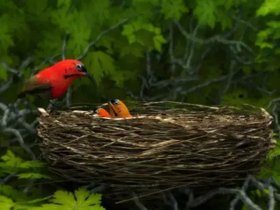 birds weth nest 3D model