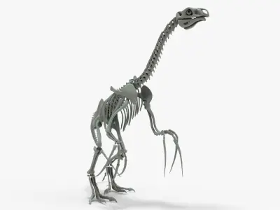 Therizinosaurus Rigged Skeleton Low-poly 3D model