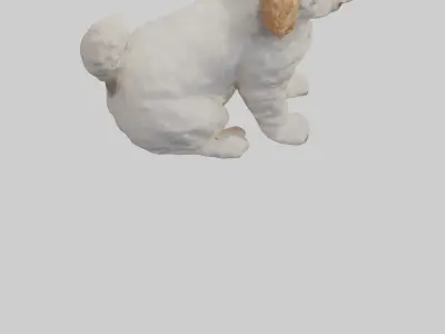 Cockapoo wagging tail model 3D model