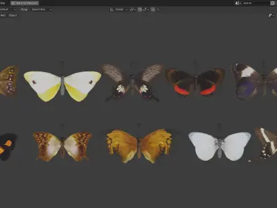 Butterfly Collection PBR Rigged Animated 3D model