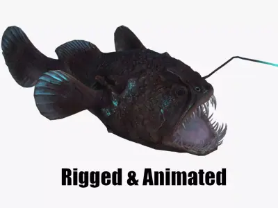 Angler Fish monkfish 3D model