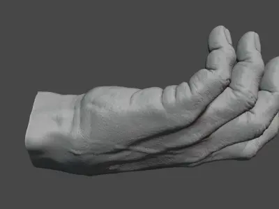 Human hand 3D model