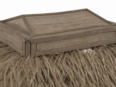 Enclosed Bamboo Hut with Thatch Roof Brown 3D model