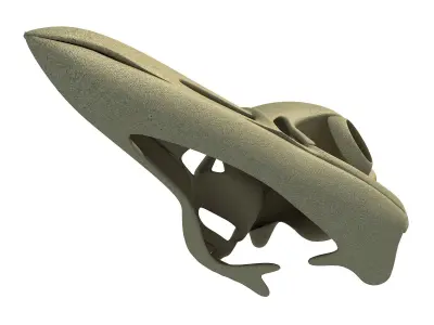 Detailed Penguin Skull 3D model