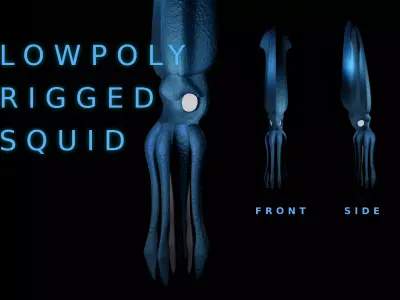 Giant Squid Low-poly 3D model