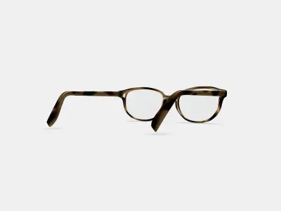 Ira Eyeglasses in Striped Sassafras 3D model