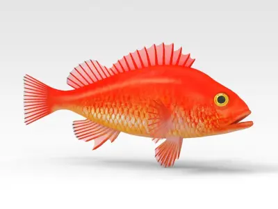 GoldFish orange fish 3D model