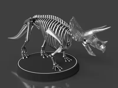 Silver Triceratops Skeleton for Visualization 3D model