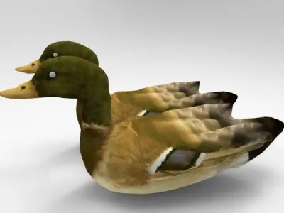 Swimming Ducks Low-poly 3D model