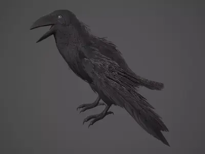 Raven Low-poly 3D model