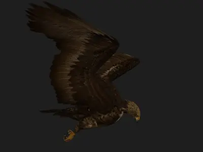 Eagle V3E 3D model