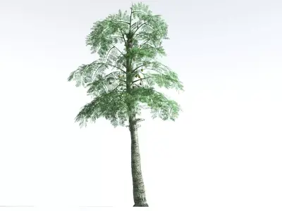 EVERYPlant Alethopteris Seed Fern 4 --12 Models-- 3D model