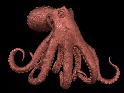 Realistic Octopus 3D model