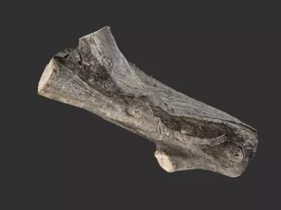 A piece of sawn wood 3d scan in highpoly 3D model