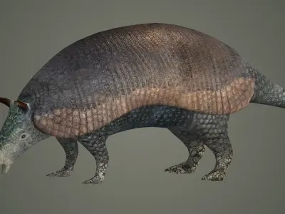 armadillo animal mammal critter wild zoo dasypus 3D model