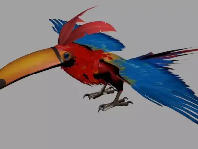 Toucan 3D model
