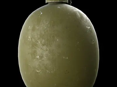 Military water flask Free 3D model