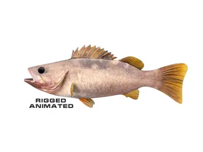 Low-Poly Olive Rockfish Animated Low-poly 3D model