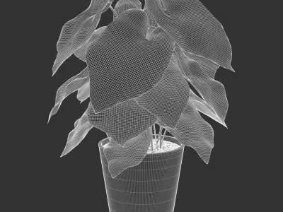  Caladium Potted Plant Model, Pale Green 