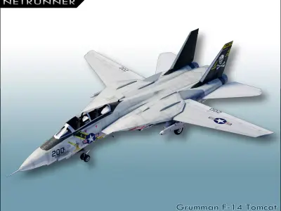Grumman F-14 Tomcat Low-poly 3D model