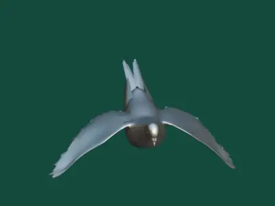 Columbidae White Dove Bird Low-poly 3D model