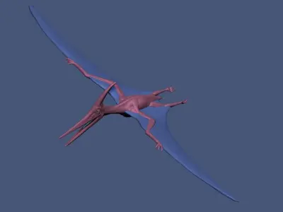 Dinosaur Basemesh Pack 01 3D model