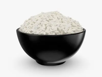 Rice Bowl 3D model
