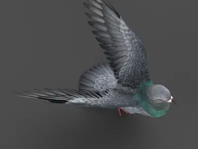 Pigeon Game Ready with wings spread Low-poly 3D model