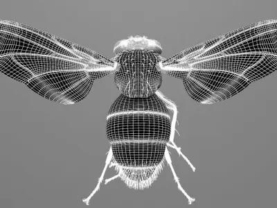 Fly - rigged 3D model