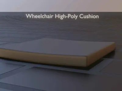 Wheelchair Cushion 3D model