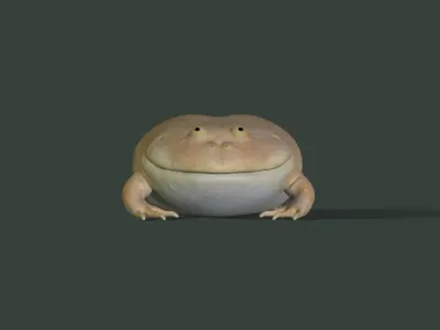 Toad Budgetts frog Free 3D model
