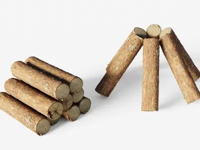 Scanned coniferous firewood Low-poly 3D model