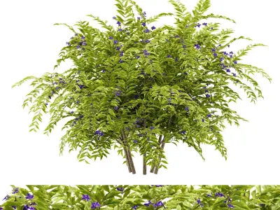 Flower Bush Plant Free 3D model