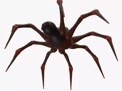 Textured rigged and animated spider Low-poly 3D model