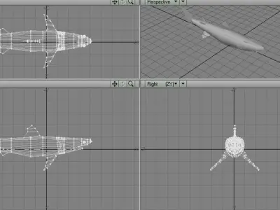 Shark - Piked 3D model