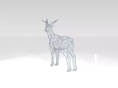 Deer Wireframe 3D model