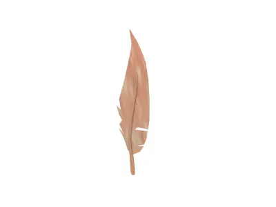 Feathers v1 012 Low-poly 3D model